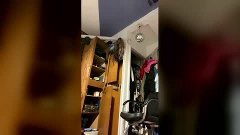 Snapshot of cumsinmealot chatting on February 2, 2026, 9:35 pm Aprilia online show from February 2, 2026, 9:35 pm