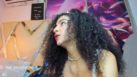 Snapshot of curlyrose_ chatting on December 20, 2024, 12:52 am Rose online show from December 20, 2024, 12:52 am