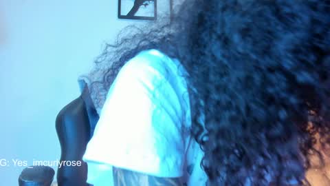 Snapshot of curlyrose_ chatting on December 26, 2024, 11:57 pm Rose online show from December 26, 2024, 11:57 pm