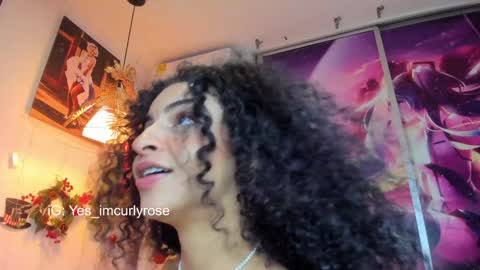 Snapshot of curlyrose_ chatting on December 31, 2024, 3:23 am Rose online show from December 31, 2024, 3:23 am