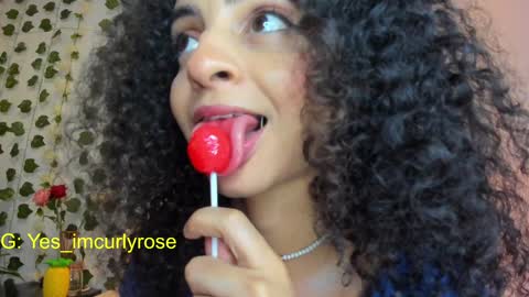 Snapshot of curlyrose_ chatting on January 22, 2025, 12:16 am Rose online show from January 22, 2025, 12:16 am