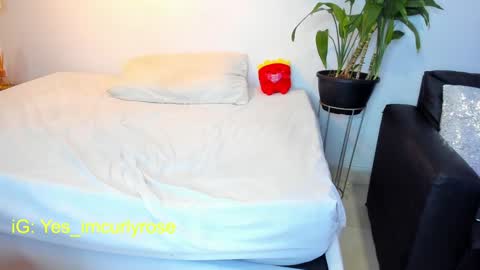 Snapshot of curlyrose_ chatting on January 30, 2025, 9:14 pm Rose online show from January 30, 2025, 9:14 pm
