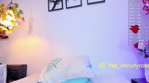 Snapshot of curlyrose_ chatting on February 15, 2025, 8:54 pm Rose online show from February 15, 2025, 8:54 pm