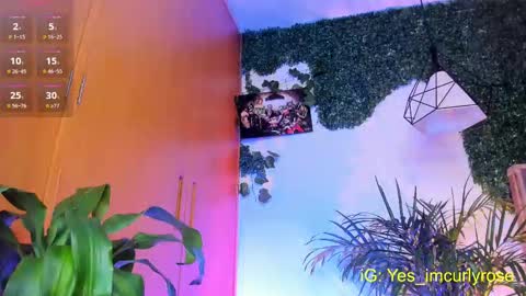 Snapshot of curlyrose_ chatting on September 24, 2025, 9:29 pm Rose online show from September 24, 2025, 9:29 pm