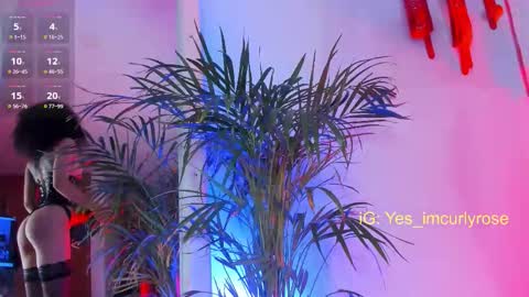 Rose online show from November 22, 2025, 10:20 pm