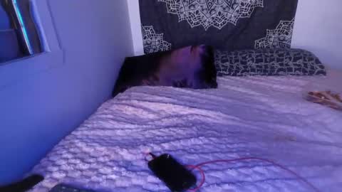 Snapshot of curvybcelinemixe chatting on March 2, 2025, 7:21 am Cline online show from March 2, 2025, 7:21 am