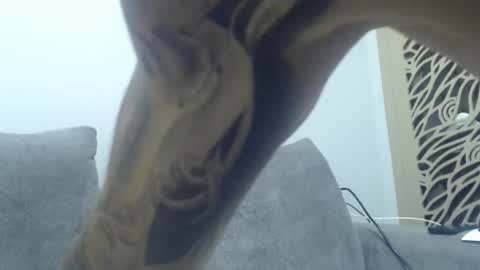 cuteeboy online show from December 2, 2025, 8:37 pm