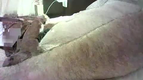 Snapshot of cv79brctba chatting on October 29, 2025, 2:58 am cv79brctba online show from October 29, 2025, 2:58 am