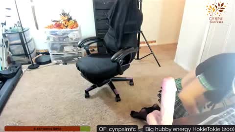 Cynpai online show from November 17, 2025, 4:40 am