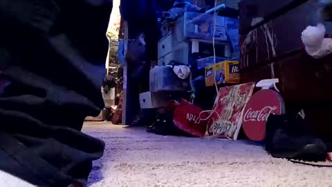 dabangaz4life online show from December 4, 2024, 5:49 am