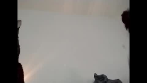 daddi_stick online show from May 23, 2026, 8:35 pm