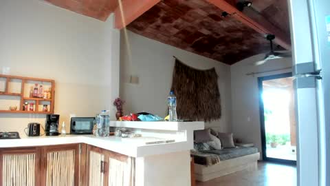 Belle  Email daddydaycarecb  online show from March 11, 2025, 1:45 pm