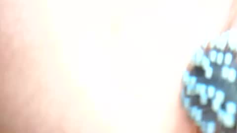 Snapshot of daddydigbick87 chatting on October 29, 2025, 8:16 am daddydigbick87 online show from October 29, 2025, 8:16 am