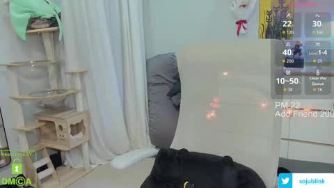 Daisy online show from April 20, 2026, 8:06 am