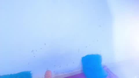 Snapshot of dakkotta_curvy chatting on September 16, 2025, 7:20 am VALENTINA  online show from September 16, 2025, 7:20 am