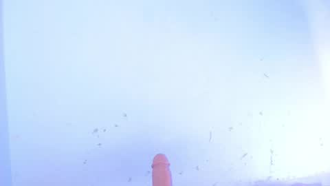 Snapshot of dakkotta_curvy chatting on October 10, 2025, 7:51 am VALENTINA  online show from October 10, 2025, 7:51 am