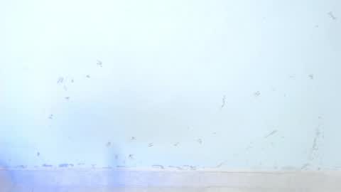 Snapshot of dakkotta_curvy chatting on October 16, 2025, 8:48 am VALENTINA  online show from October 16, 2025, 8:48 am