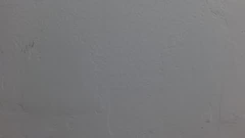 Dakota Johnson online show from November 8, 2025, 6:40 pm