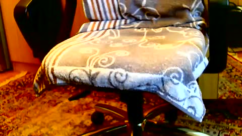 Dammerl online show from January 15, 2025, 8:20 am