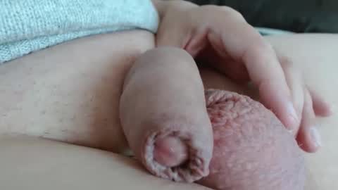 Damocles online show from November 1, 2025, 2:19 pm