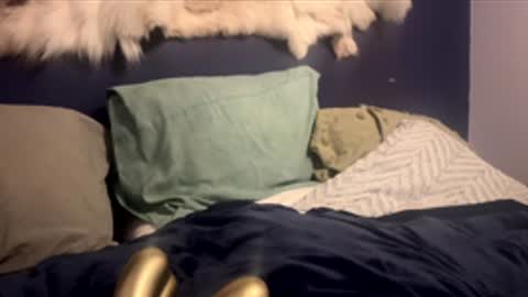 Snapshot of damontsi chatting on February 24, 2026, 2:48 pm damontsi online show from February 24, 2026, 2:48 pm