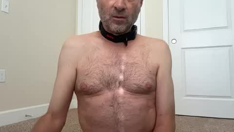 slave being trained online show from June 18, 2026, 4:11 pm