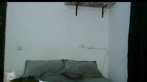 Snapshot of dan_yagami chatting on March 5, 2025, 12:27 am Dan and Noah online show from March 5, 2025, 12:27 am