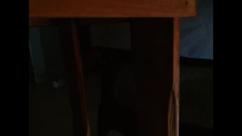 dangerhook online show from November 24, 2025, 11:32 am