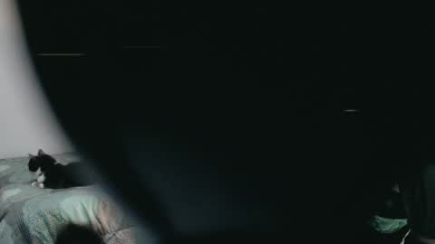 dani y jocelyn online show from March 2, 2025, 11:53 pm