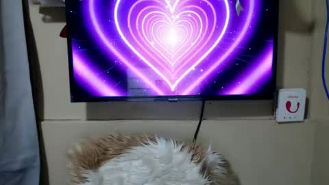 Danica online show from June 26, 2026, 11:31 pm