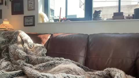 Daniel Bishop  Mason online show from March 1, 2026, 8:00 pm