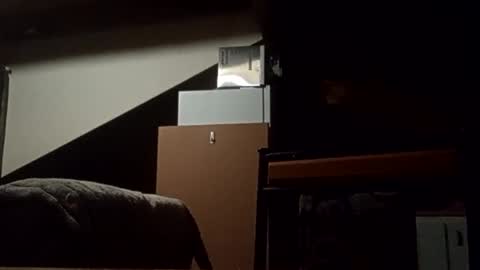 danieldayz online show from November 4, 2025, 10:58 am