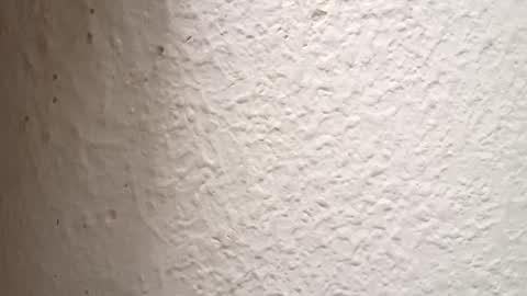 Snapshot of danielhot24 chatting on October 3, 2025, 4:59 pm Antidotehot24 online show from October 3, 2025, 4:59 pm