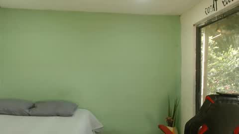 danielitopapii online show from February 12, 2026, 2:12 pm