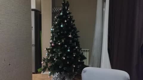 danila online show from January 18, 2026, 5:06 pm