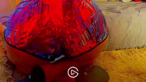 dandeb online show from January 26, 2025, 8:45 pm