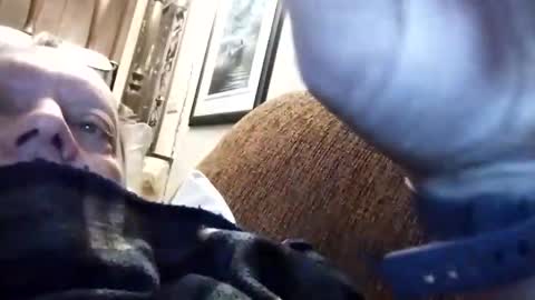 dannowisc online show from March 15, 2026, 12:00 pm