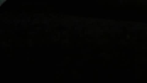 danny81boy online show from December 8, 2024, 11:51 pm