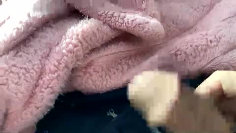 dannyboy621 online show from November 10, 2025, 2:16 pm