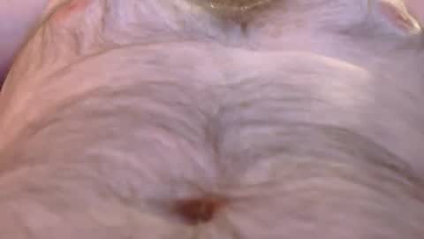 Master Dan online show from March 26, 2026, 8:09 am