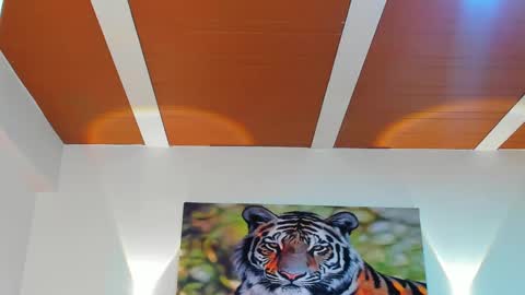 DANTE online show from March 6, 2025, 2:51 am