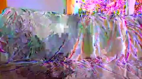 Snapshot of danwick69 chatting on September 17, 2025, 11:45 am danwick69 online show from September 17, 2025, 11:45 am