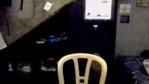 dany_kyng online show from February 3, 2026, 2:53 am