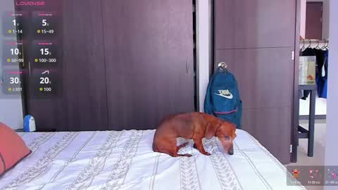 danyfitguy_ online show from November 9, 2025, 5:11 pm