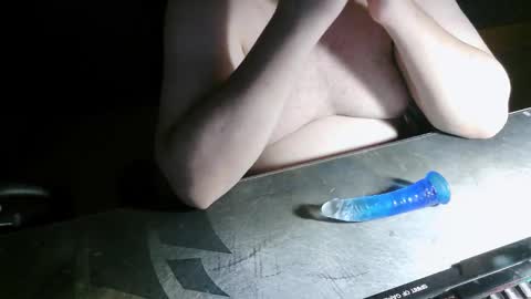 danysanchez1981 online show from December 22, 2025, 11:13 pm