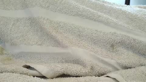 dapppper online show from September 18, 2025, 6:10 pm