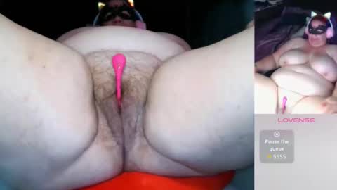 Snapshot of darina_bbw chatting on March 1, 2026, 1:51 am darina_bbw online show from March 1, 2026, 1:51 am