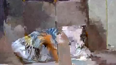 Dark Candy 254 online show from December 13, 2024, 3:54 pm