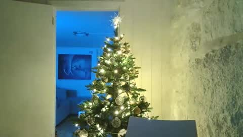 Dario online show from December 30, 2024, 11:17 pm