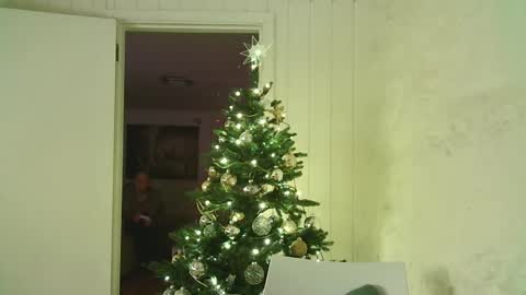 Dario online show from January 3, 2025, 4:06 pm